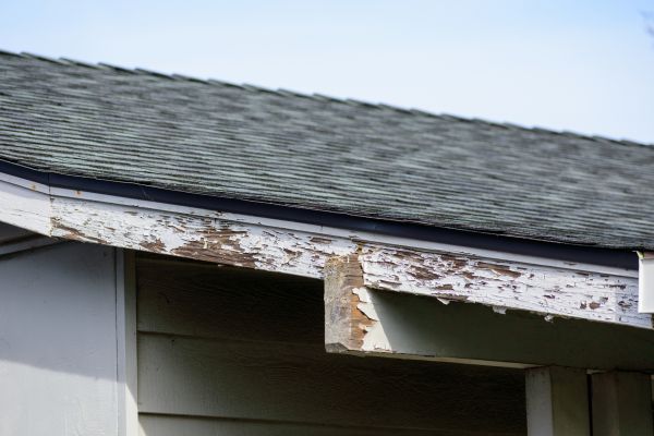 Lawrence Wood Rot Repair